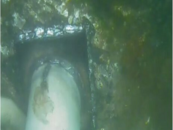 橋墩橋樁水下加固